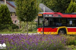 Zmiany w kursowaniu komunikacji miejskiej w Bielsku-Białej. Świąteczny rozkład mocno ograniczony