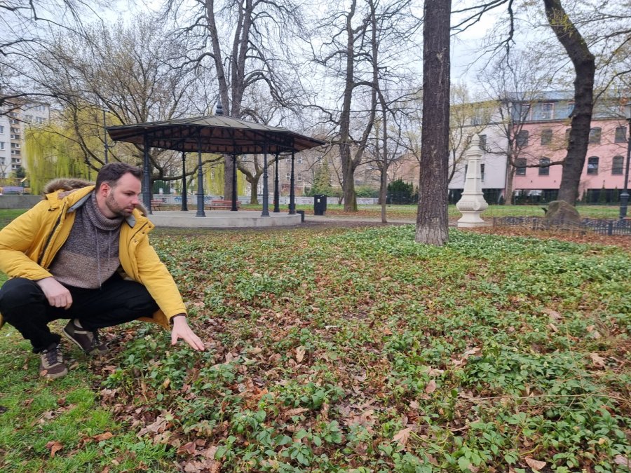 Miasto kontra katastrofalne zmiany klimatu. „Zrobiliśmy już dużo, ale wyzwań wciąż jest wiele”