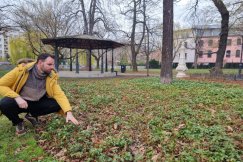 Miasto kontra katastrofalne zmiany klimatu. „Zrobiliśmy już dużo, ale wyzwań wciąż jest wiele”