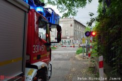 Ogień i dym obok pustostanu. Zgłoszono zadymienie na numer alarmowy - foto