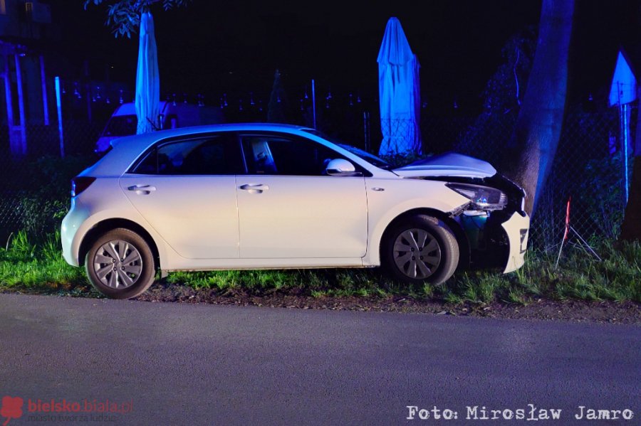 Samochód uderzył w drzewo. W aucie podróżowało pięć osób - foto