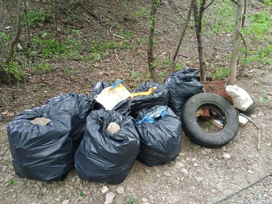 Zebrali tony śmieci. Obrośniętych roślinnością aut nie udało się włożyć do worków - foto