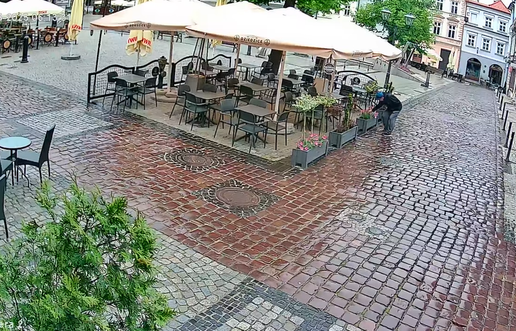 Zuchwała kradzież z ogródka gastronomicznego. Restaurator czeka na zwrot - film