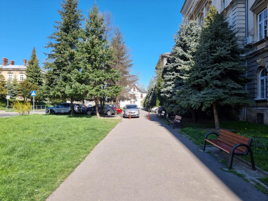 Odbetonowanie parku i skwerów opóźnione. Z powodu błędu unieważniono przetargi - foto