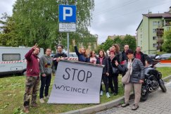 Protest na bielskim osiedlu. Będą bronić drzew, by nie wyciął ich deweloper - foto