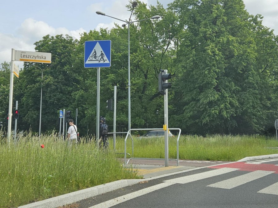 Kierowcy skarżą się na wysoką trawę. MZD wyłoniło firmy, koszenie już ruszyło - foto