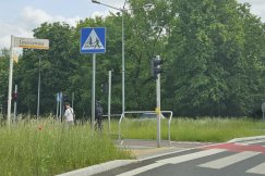 Kierowcy skarżą się na wysoką trawę. MZD wyłoniło firmy, koszenie już ruszyło - foto