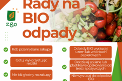 Rady na BIO odpady. Choć zasady segregacji są znane, to pojawiają się błędy