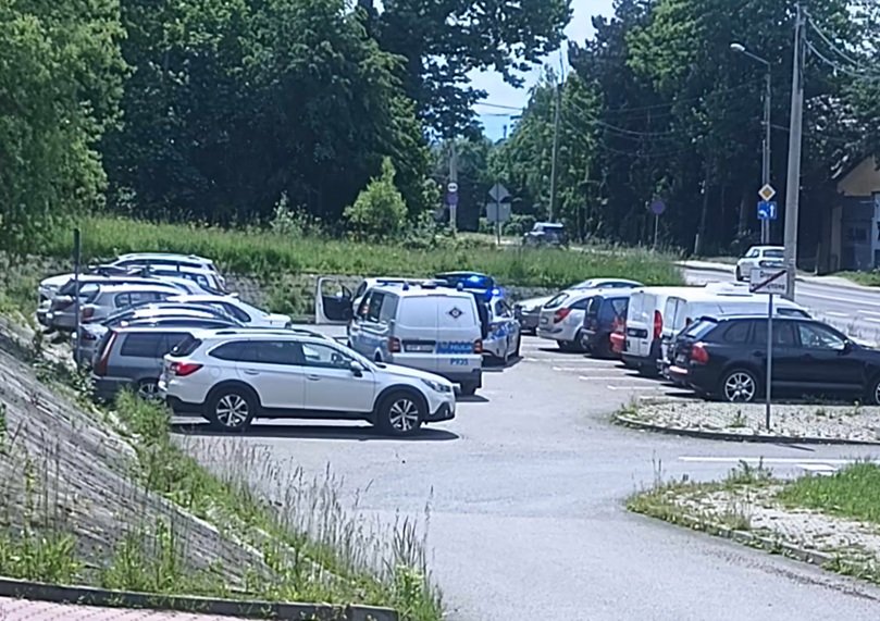 Kierowca pizzerii pod wpływem alkoholu. Ignorował sygnały do zatrzymania - foto