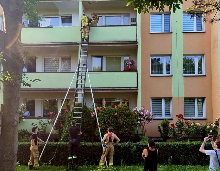 Kot ugrzązł na drugim piętrze. Przy użyciu drabiny z balkonu ściągali go strażacy - foto