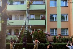 Kot ugrzązł na drugim piętrze. Przy użyciu drabiny z balkonu ściągali go strażacy - foto