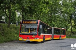 Od poniedziałku więcej kursów na popularne tereny rekreacyjne. Autobus co 10 minut MAPA