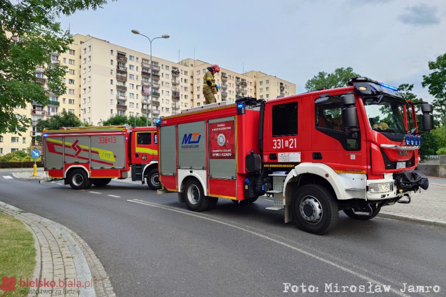 Akcja służb obok Ratusza. Kobieta spadła do koryta rzeki, z obrażeniami trafiła do szpitala - foto