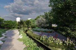 Osiedlowy park przejdzie metamorfozę. Tysiące nasadzeń i oczko wodne do obserwacji przyrody - foto