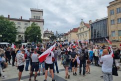 Pikieta przeciwko imigrantom. Politycy przekonywali, że to „inicjatywa mieszkańców” - foto