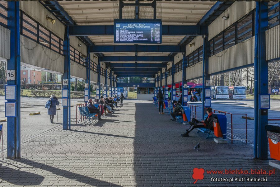Duży kontrakt rozstrzygnięty. Tureckie autobusy nie trafią do regionalnego przewoźnika