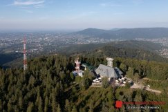 Las społeczny powstanie wokół Bielsku-Białej! Tu nie będzie masowej wycinki drzew MAPA