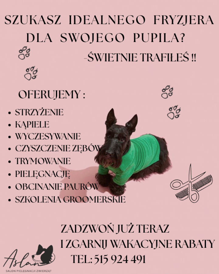 Nowy wymiar pielęgnacji zwierząt w Twojej okolicy. Twój pupil zasługuje na wszystko, co najlepsze!