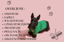 Nowy wymiar pielęgnacji zwierząt w Twojej okolicy. Twój pupil zasługuje na wszystko, co najlepsze!