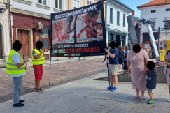 Pikiety budzą niesmak mieszkańców. Urzędnicy odpowiadają, że nic zrobić nie mogą - foto