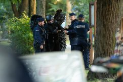 Policja interweniowała wobec Czarnego Anioła. „Nie reagował na polecenia” - foto