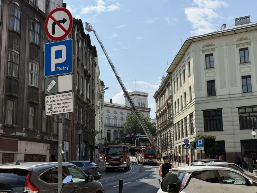 Pies chodził po dachu kamienicy. Z pomocą drabiny zabezpieczyli go strażacy - foto