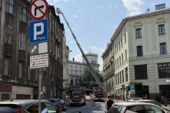 Pies chodził po dachu kamienicy. Z pomocą drabiny zabezpieczyli go strażacy - foto