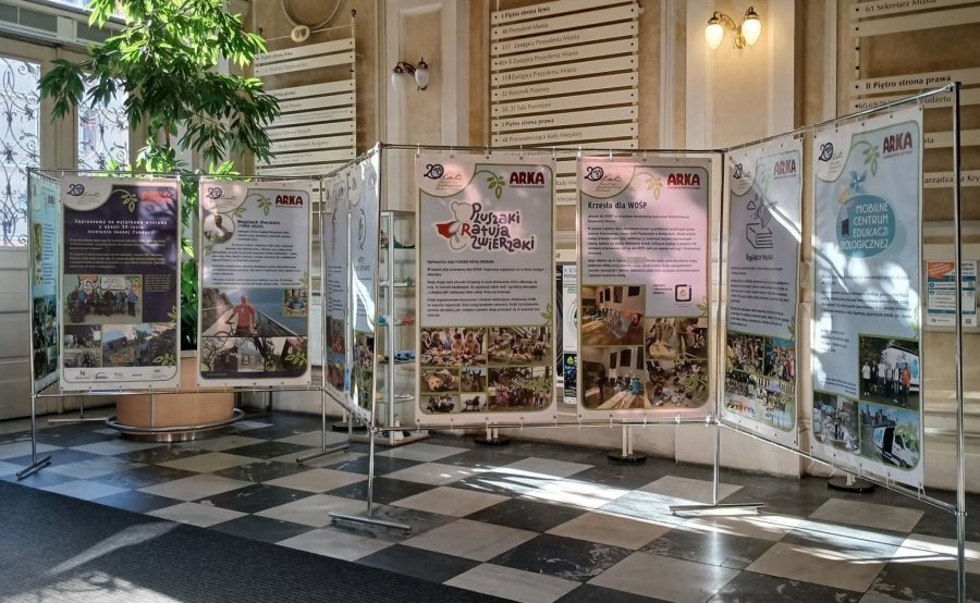 Przez dwie dekady zrealizowali wiele projektów. Ta wystawa to hołd dla twórcy organizacji - foto
