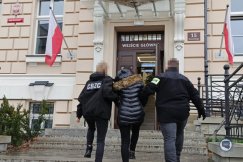 Rozbili mafię lekową. Na czele grupy przestępczej stał mieszkaniec Bielska-Białej - foto
