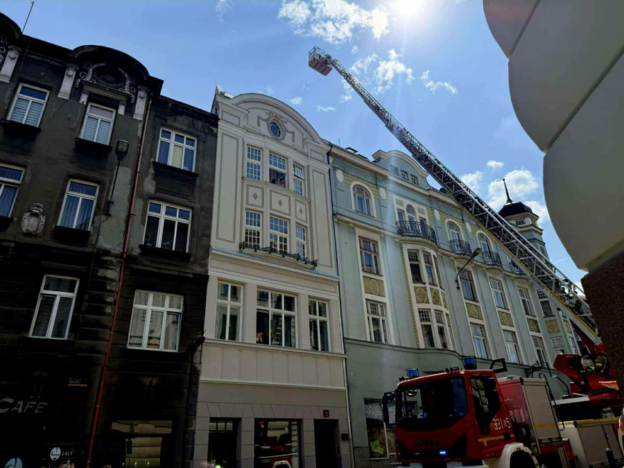 Pies znów spacerował po dachu kamienicy. To kolejna taka sytuacja w ostatnich dniach