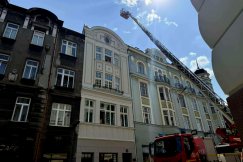 Pies znów spacerował po dachu kamienicy. To kolejna taka sytuacja w ostatnich dniach