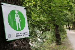 W parku pojawiły się tajemnicze tablice. Żaden element nie jest przypadkowy - foto