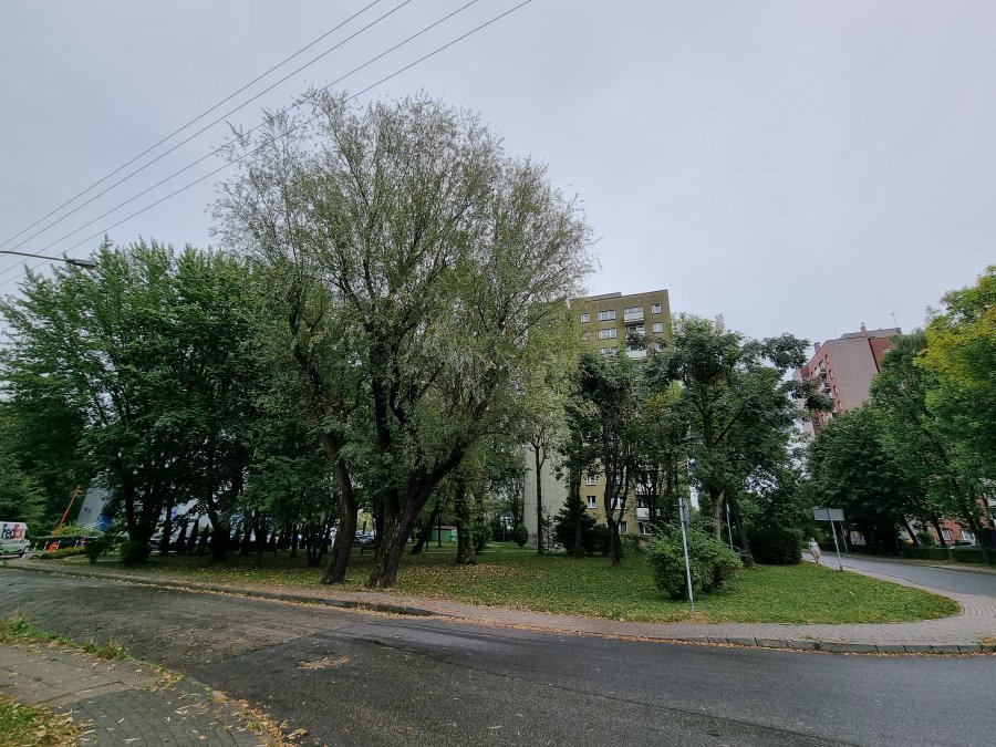 Przez kilka dni nie było z nią kontaktu. Wycieńczona kobieta trafiła do szpitala