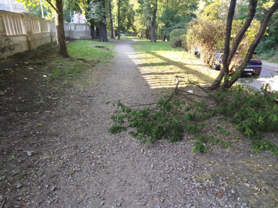 Opłakany stan skweru w centrum. Zalegają w nim śmieci, a okolicę porastają chwasty - foto