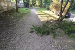 Opłakany stan skweru w centrum. Zalegają w nim śmieci, a okolicę porastają chwasty - foto