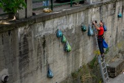 14-kilogramowe krople mienią się w korycie Białej. Współgrają z rytmem rzeki - foto