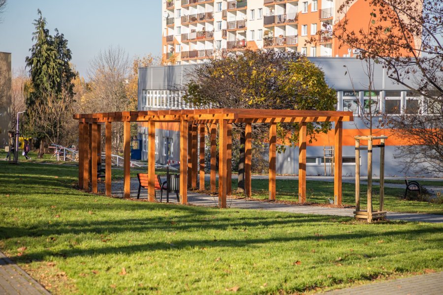 Zasadzą setki drzew i krzewów. Nowe nasadzenia jesienią pojawi się w różnych częściach miasta