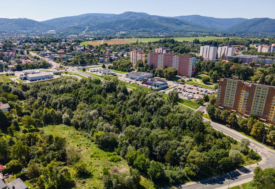 Miasto z pozwoleniem na utworzenie parku naturalistycznego. Jego koszt to ponad 10 mln zł - foto