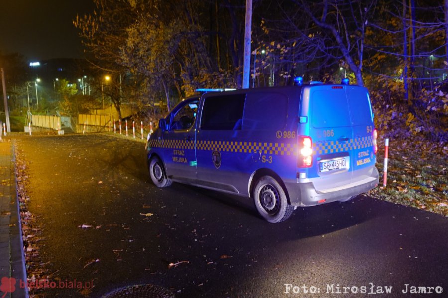 Okradł mężczyznę śpiącego na przystanku. W pościg ruszyli strażnicy, pomógł rowerzysta - foto