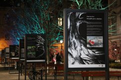 Ta wystawa, to apel o zmianę podejścia do lasów. W czwartek twórcy spotkają się z mieszkańcami - foto