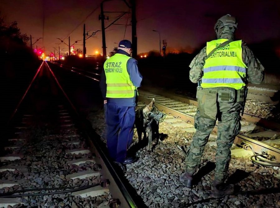 Rusza operacja „Horyzont”. Patrole z udziałem żołnierzy także w Bielsku-Białej - foto