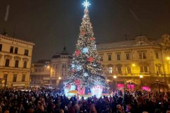 Świąteczna choinka rozbłyśnie w sobotę. Będą nowości w świątecznych iluminacjach miasta