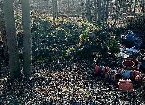 Taczką wywoził odpady za przystanek. Sprawca przyłapany na gorącym uczynku - foto