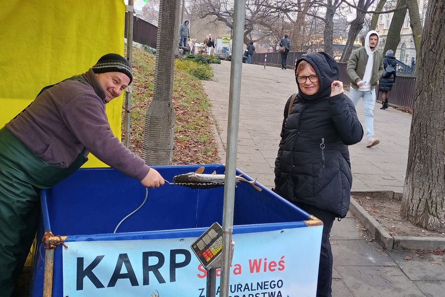Świąteczny klimat na ulicach Bielska-Białej. Ile w tym roku trzeba zapłacić za żywego karpia?