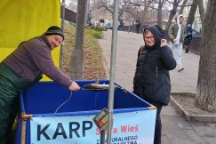 Świąteczny klimat na ulicach Bielska-Białej. Ile w tym roku trzeba zapłacić za żywego karpia?
