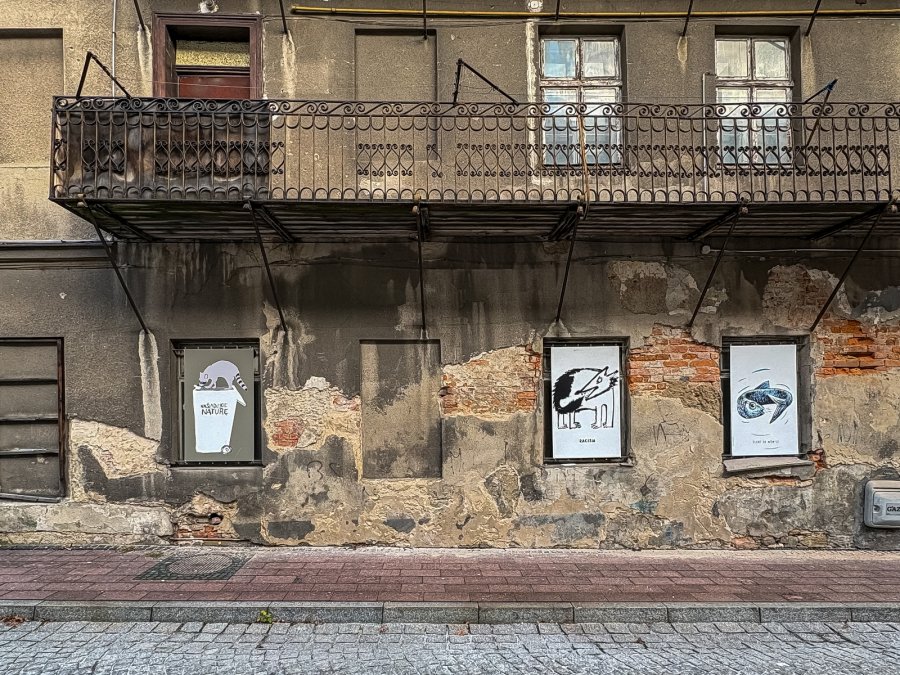 Zamiast pustych witryn - wielka sztuka. Bielsko-Biała zamienia się w galerię sztuki - foto