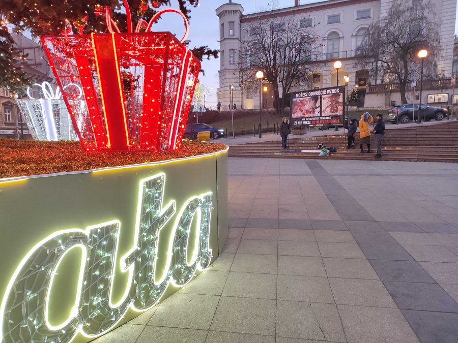Kontrowersyjna pikieta na tle choinki. „Wykorzystywanie dzieci do takich celów jest obrzydliwe” - foto