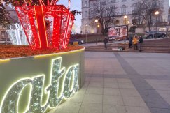 Kontrowersyjna pikieta na tle choinki. „Wykorzystywanie dzieci do takich celów jest obrzydliwe” - foto