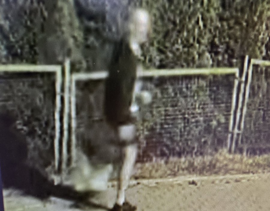 Policja szuka wandala. Uszkodził auta przed salonem Mercedesa, straty to 100 tys. zł - foto i film