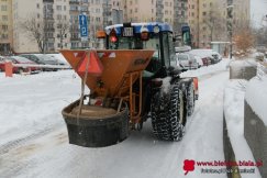 Kulejące psy po spacerach na bielskich osiedlach. Właściciele proszą, by chodniki sypać piaskiem